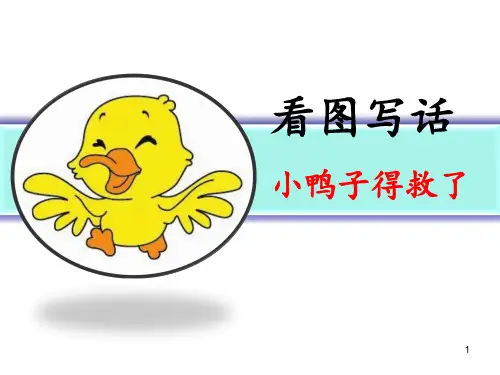 二年级看图写话《智救小鸭》 ppt课件