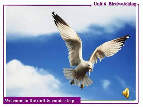 牛津译林版八年级英语上册《nit 6 Birdwatching  Welcome to the unit》优质课课件_2