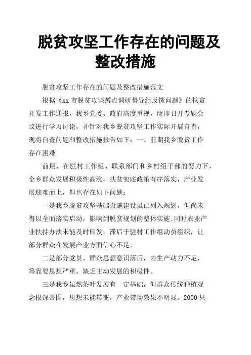 脱贫攻坚工作存在的问题及整改措施