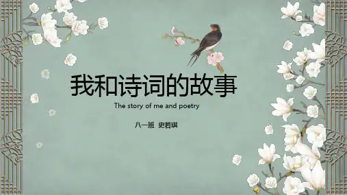我和诗词的故事-史若琪