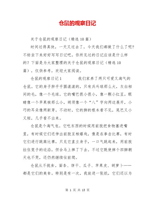 仓鼠的观察日记