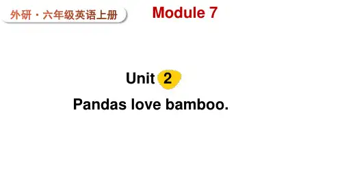 外研版三起英语六年级上册Module 7  Unit 2 Pandas love bamboo课件