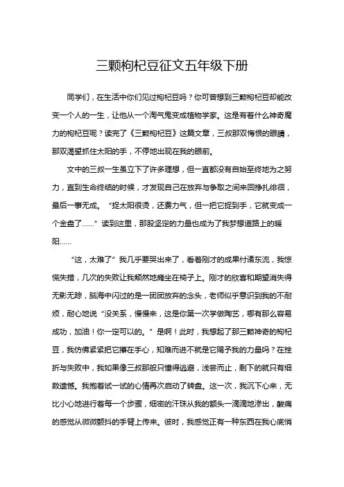 三颗枸杞豆征文五年级下册