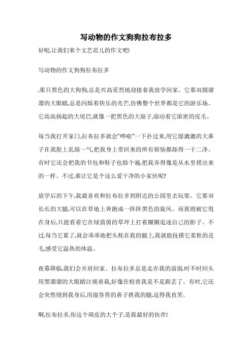 写动物的作文狗狗拉布拉多