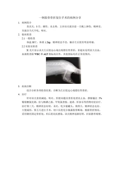 一例犬股骨骨折复位手术的病例分享