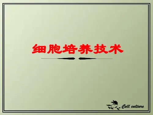 细胞培养技术