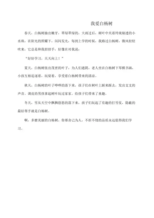 作文：我爱白杨树