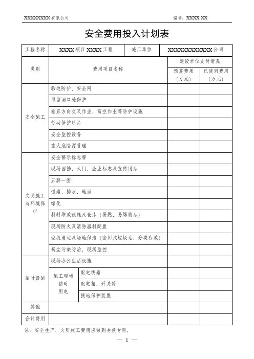 安全费用投入计划表(模版)