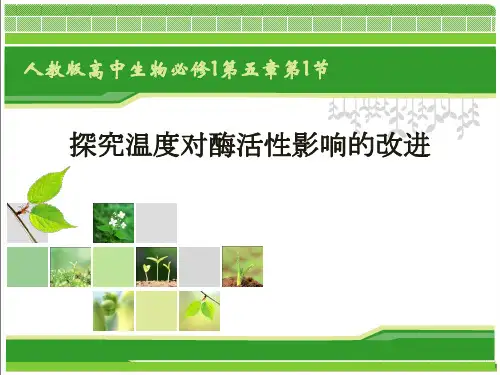 探究温度对酶活性影响的改进课件2022-2023学年高一上学期生物人教版必修1