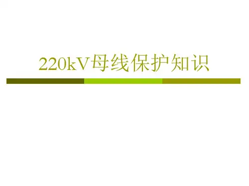 220kV母线保护