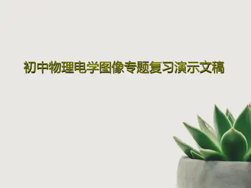 初中物理电学图像专题复习演示文稿21页PPT