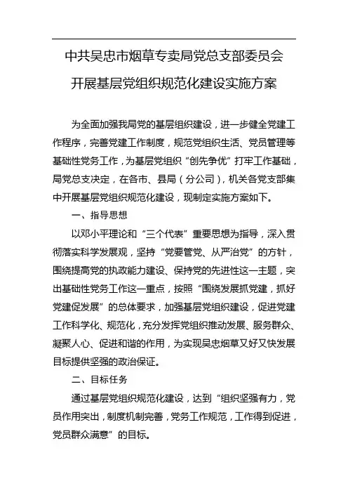 基层党组织规范化建设方案
