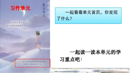部编版语文三年级上册优秀课件    15 搭船的鸟