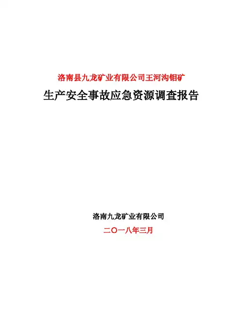生产安全事故应急资源调查报告