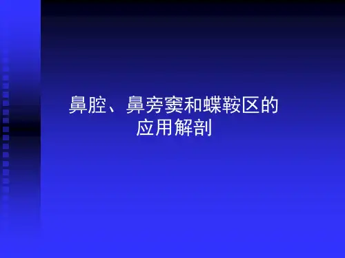 基础医学-人体解剖学-鼻腔、鼻旁窦和蝶鞍区应用解剖