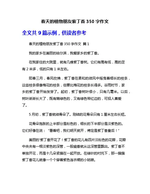 春天的植物朋友紫丁香350字作文