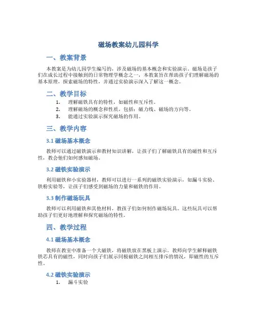 磁场教案幼儿园科学
