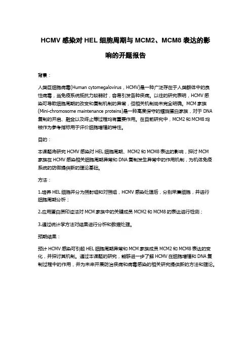 HCMV感染对HEL细胞周期与MCM2、MCM8表达的影响的开题报告