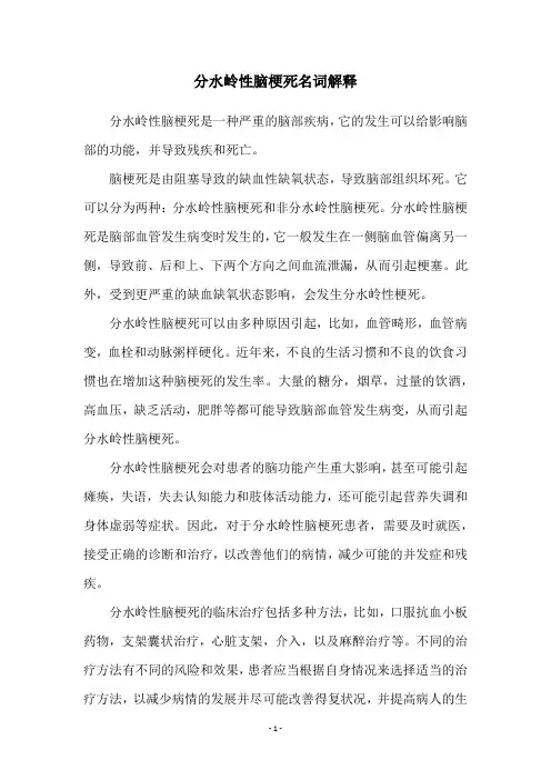 分水岭性脑梗死名词解释