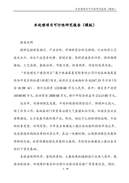 水处理项目可行性研究报告(模板)