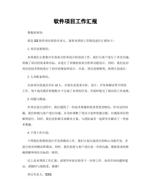 软件项目工作汇报