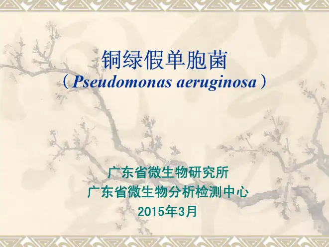 铜绿假单胞菌检验