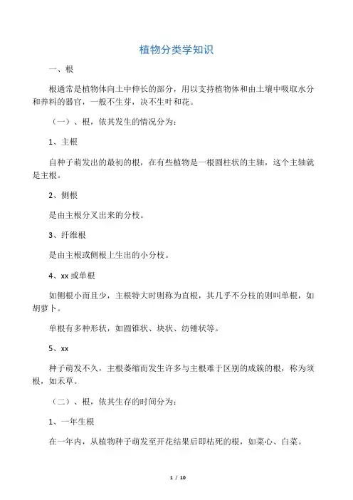 植物分类知识
