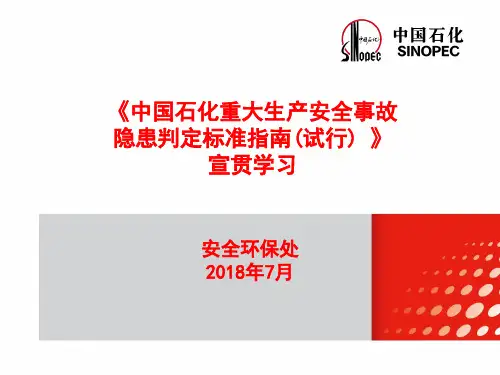 重大生产安全事故-隐患判定标准指南(试行)--学习宣贯