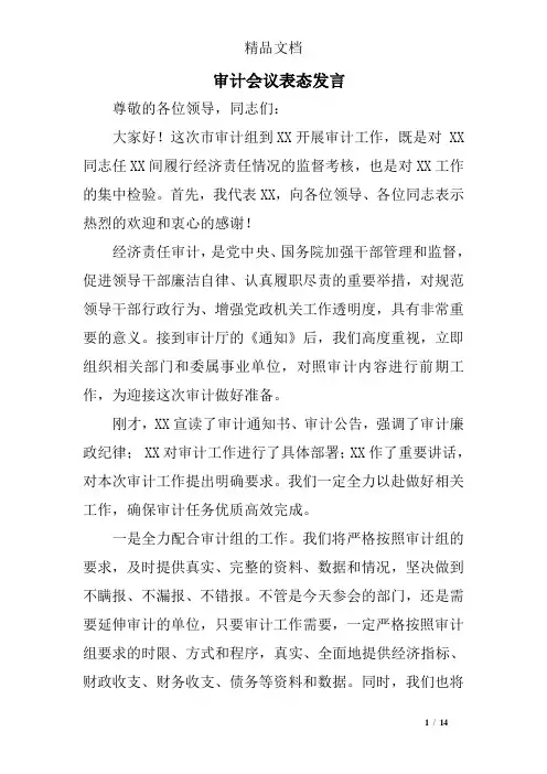 审计会议表态发言