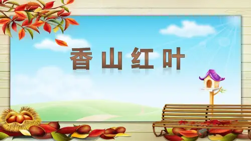 香山红叶课件