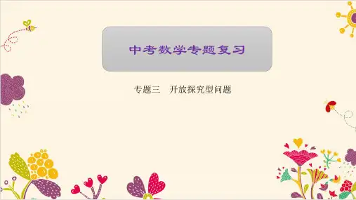 中考数学复习专题三 开放探究型问题