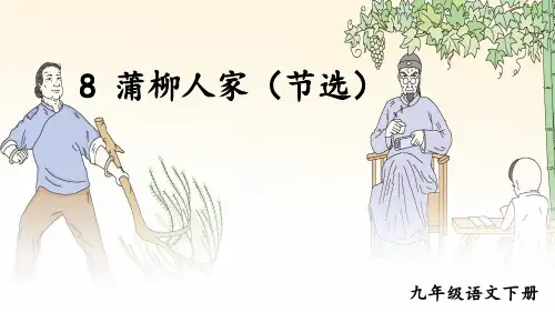 部编版九年级语文下册第8课《蒲柳人家》教学课件