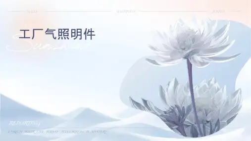 工厂电气照明课件