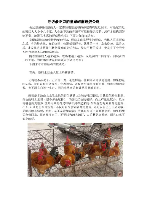 最正宗的皇藏峪蘑菇烧公鸡