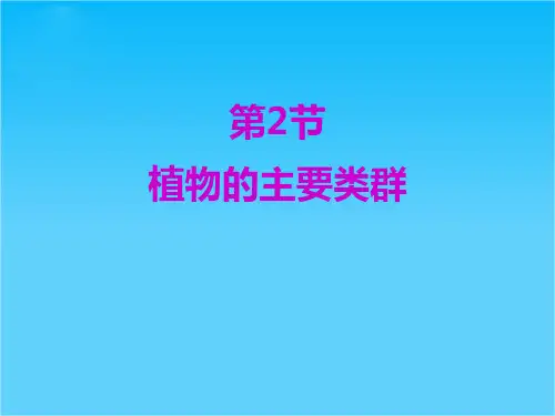 广东省珠海九中八年级生物《植物的主要类群藻类植物 》课件 北师大版