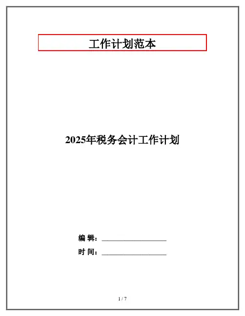 2025年税务会计工作计划
