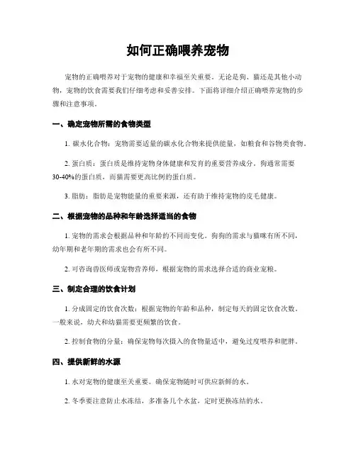 如何正确喂养宠物