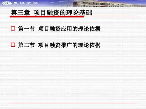 3项目融资的理论基础汇总