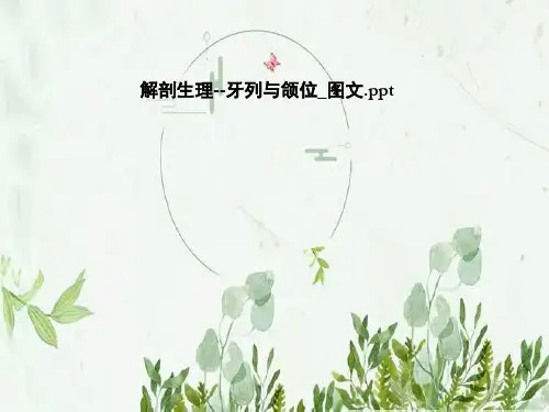 解剖生理--牙列与颌位_图文