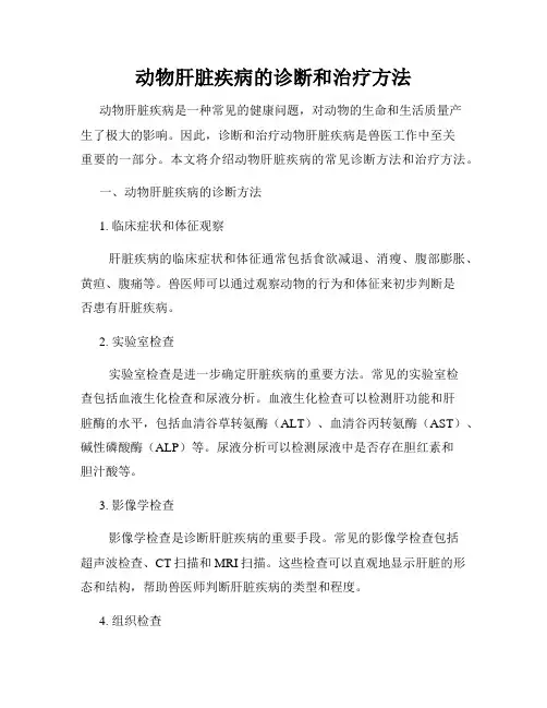 动物肝脏疾病的诊断和治疗方法