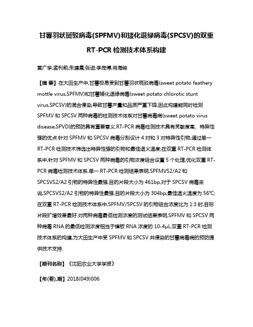 甘薯羽状斑驳病毒(SPFMV)和矮化退绿病毒(SPCSV)的双重RT-PCR检测技术体系构建