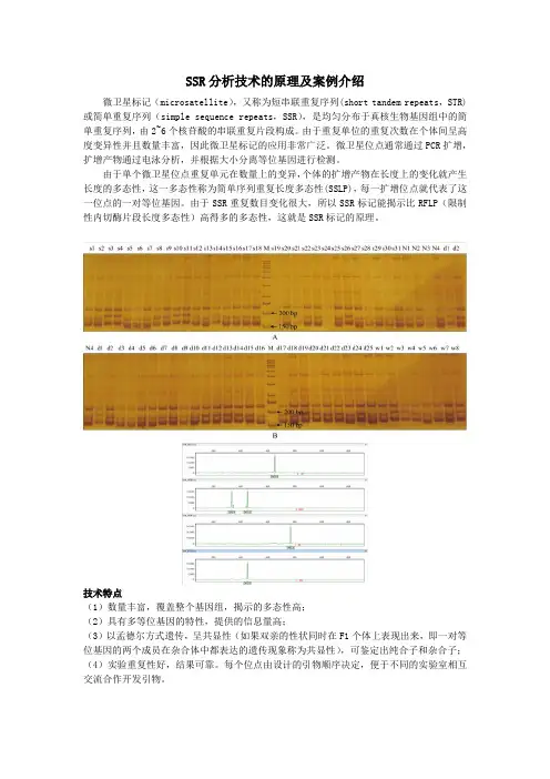 SSR分析技术的原理及案例介绍
