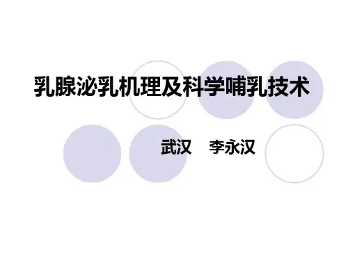乳腺泌乳机理及母乳喂养技术