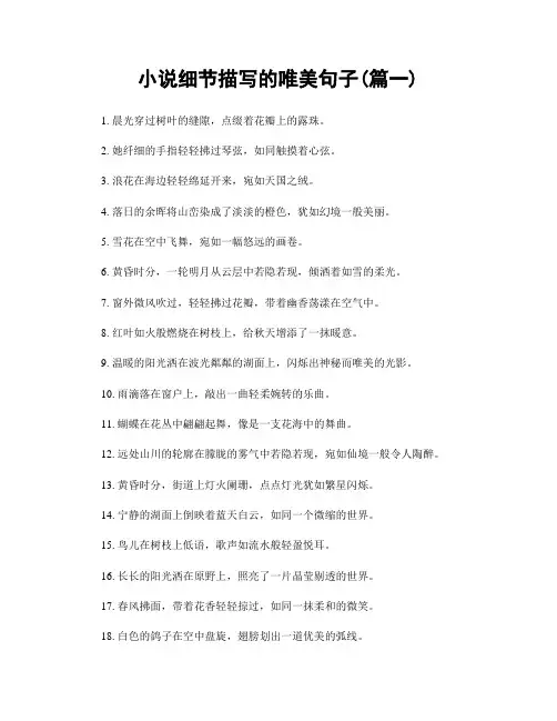 小说细节描写的唯美句子(精选两篇)