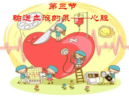 初中生物 七年级下册 第四章第三节 心脏