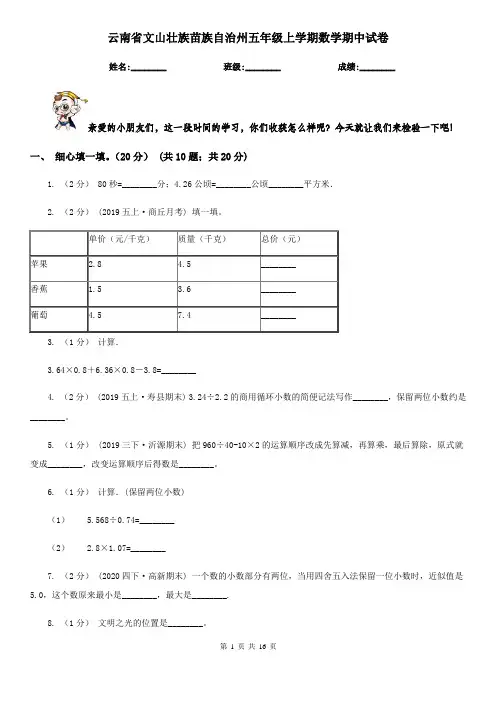 云南省文山壮族苗族自治州五年级上学期数学期中试卷