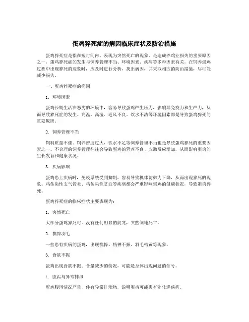 蛋鸡猝死症的病因临床症状及防治措施