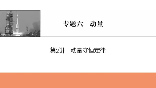 2025年高考物理总复习课件专题六动量第2讲动量守恒定律