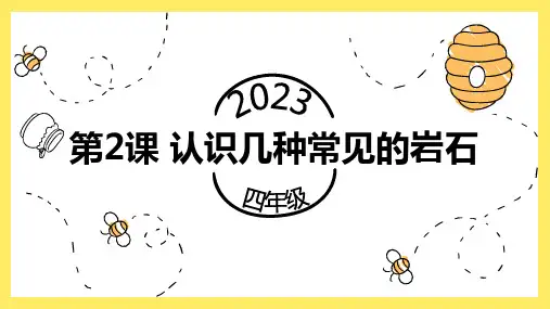认识几种常见的岩石
