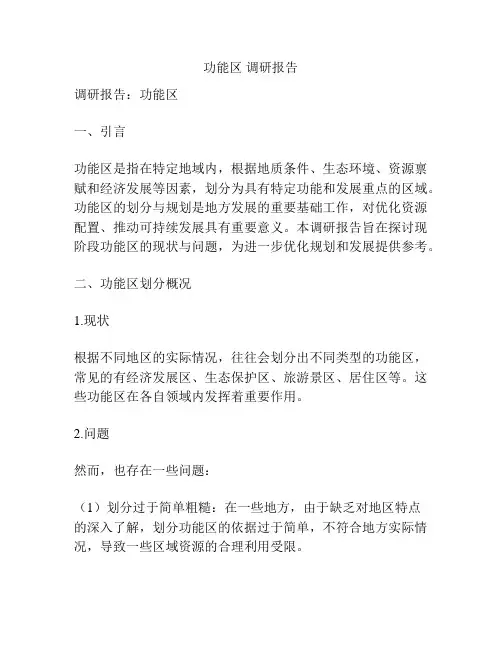 功能区 调研报告